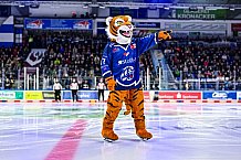 Eishockey, Men, DEL, Penny DEL, Hauptrunde Saison 2024-25, 8. Spieltag, Straubing Tigers - Adler Mannheim, 01.01.2021