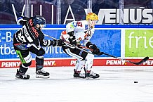 Eishockey, Herren, DEL, Saison 2020-2021, Straubing Tigers - Fishtown Pinguins Bremerhaven, 21.03.2021