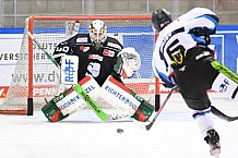 Straubing Tigers - Eistraining 28.11.2020