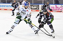 Eishockey, Herren, DEL, Saison 2020-2021, Straubing Tigers - Augsburger Panther, 03.03.2021