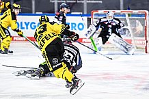 Eishockey, Herren, DEL, Saison 2020-2021, Straubing Tigers - Krefeld Pinguine, 07.04.2021