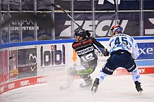 Straubing Tigers - ERC Ingolstadt