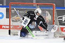 Straubing Tigers - Eistraining 30.12.2020