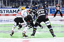 Eishockey, Herren, DEL, Saison 2020-2021, Straubing Tigers - Fishtown Pinguins Bremerhaven, 21.03.2021