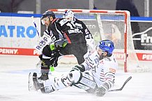 Eishockey, Herren, DEL, Saison 2020-2021, Straubing Tigers - Augsburger Panther, 03.03.2021