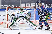 Straubing Tigers - Augsburger Panther