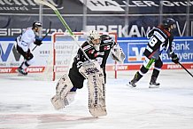 Straubing Tigers - Nürnberg Ice Tigers