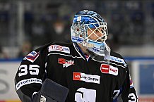 Straubing Tigers - ERC Ingolstadt