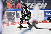 Straubing Tigers - Nürnberg Ice Tigers