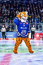 Eishockey, Men, DEL, Penny DEL, Hauptrunde Saison 2024-25, 8. Spieltag, Straubing Tigers - Adler Mannheim, 01.01.2021