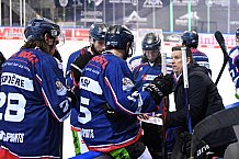 Straubing Tigers - Augsburger Panther