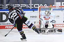 Straubing Tigers - Nürnberg Ice Tigers