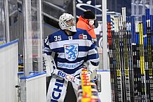 Straubing Tigers - ERC Ingolstadt