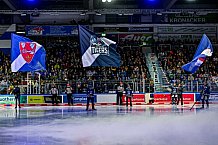 Eishockey, Men, DEL, Penny DEL, Hauptrunde Saison 2024-25, 8. Spieltag, Straubing Tigers - Adler Mannheim, 01.01.2021