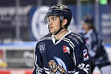 Straubing Tigers - ERC Ingolstadt