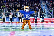 Eishockey, Men, DEL, Penny DEL, Hauptrunde Saison 2024-25, 8. Spieltag, Straubing Tigers - Adler Mannheim, 01.01.2021